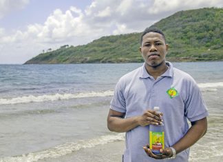 Sargassum fertiliser offers alternative for organic agriculture