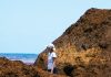 Scientists slowly unravel sargassum mystery