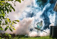 Perfect storm for mosquito breeding after Ian’s passage