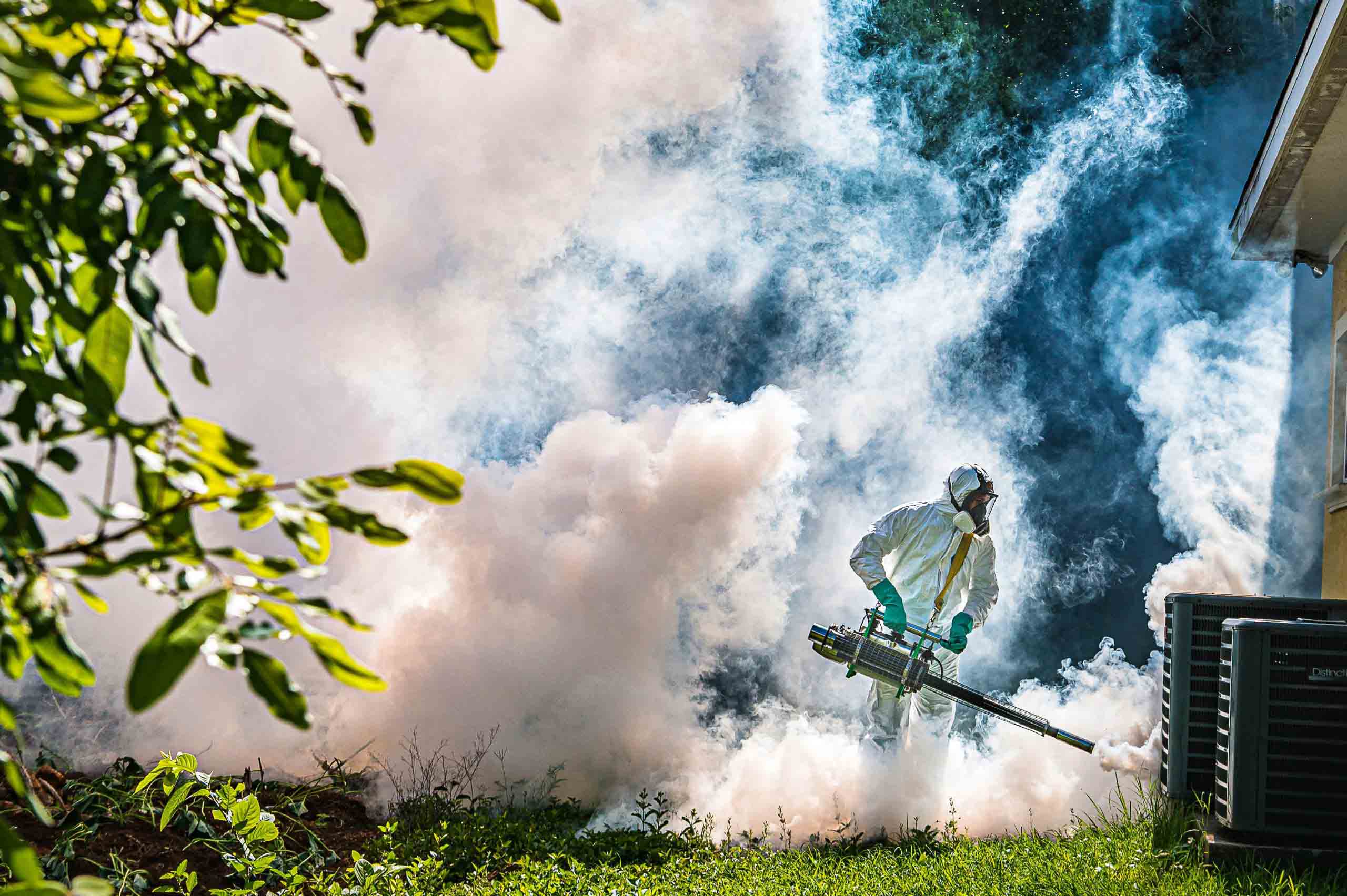 Explainer What’s up with the mosquitoes? Cayman Compass