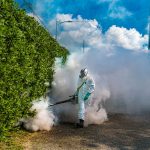 Cayman fights dengue threat with fire and flights