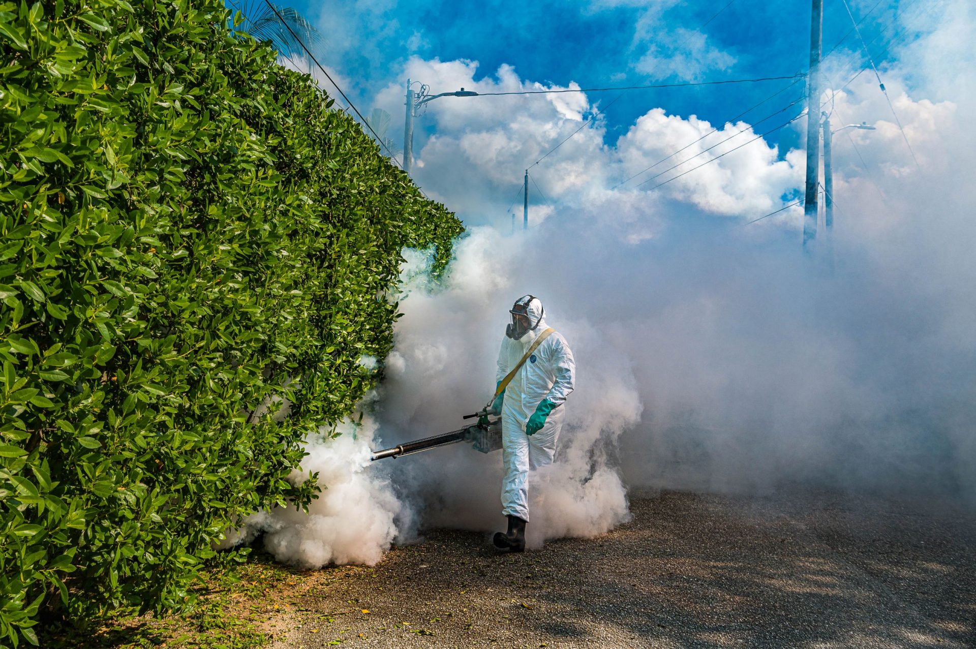 MRCU swats back at Cayman's mosquitoes - Cayman Compass