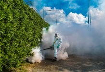 Cayman fights dengue threat with fire and flights