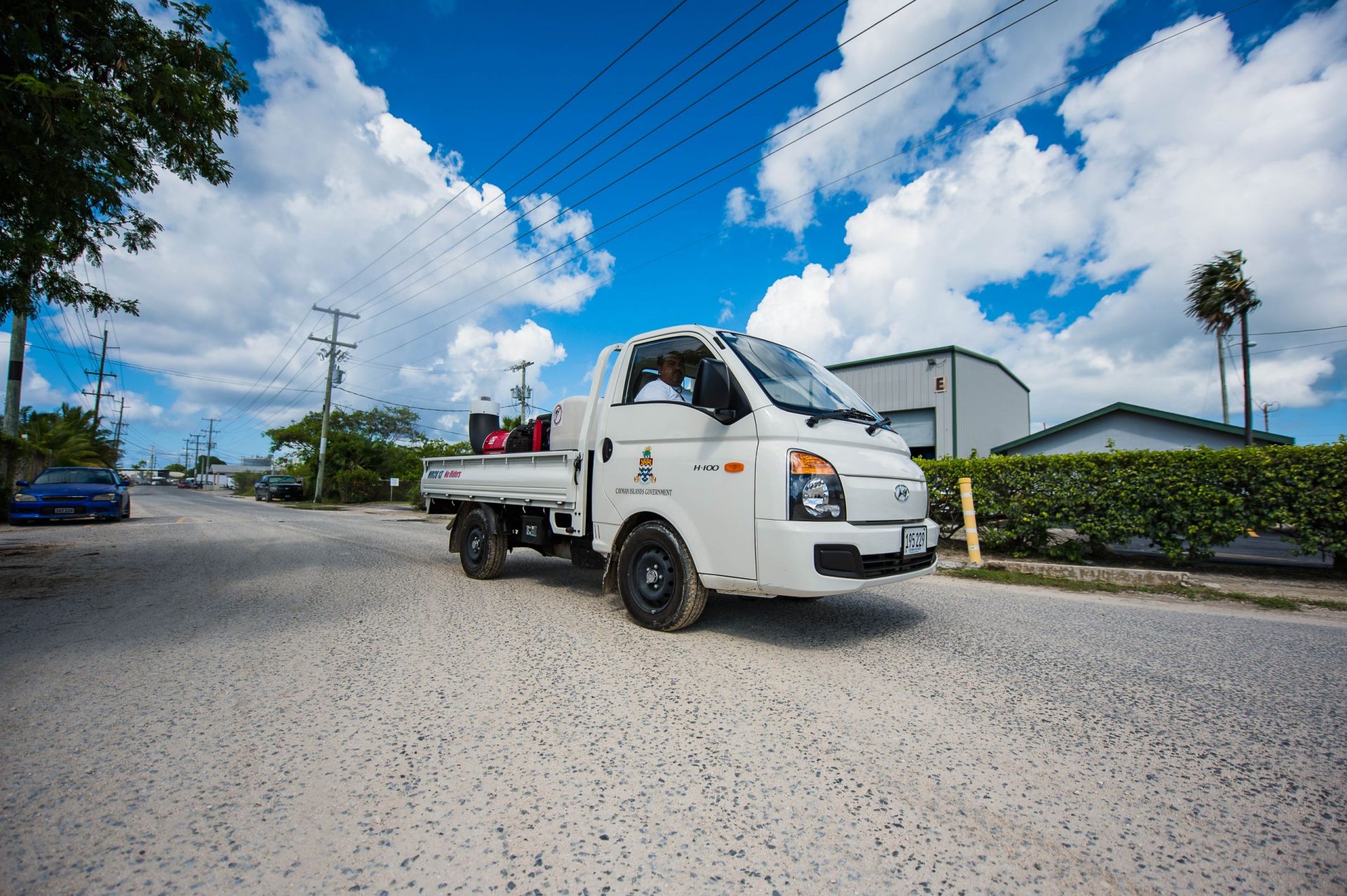 Cayman on the run from swarming swamp mosquitoes Cayman Compass