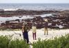Sargassum and trash in Cuba