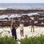 Sargassum and trash in Cuba