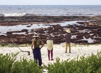 Sargassum and trash in Cuba