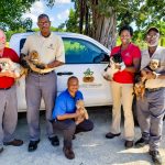 Happy ending for 42 dogs seized in animal cruelty case DoA Staff with dogs groomed by Must Love Dogs