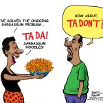Sargassum solution