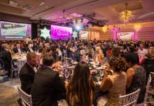 In Focus: The Breast Cancer Gala