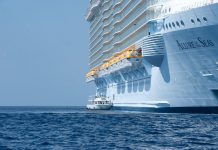 Documents reveal 2012 mega-ship tender plan