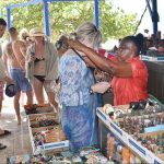Port business case: Little certainty over economic impact