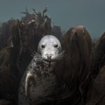 Life through the lens:Ellen Cuylaerts