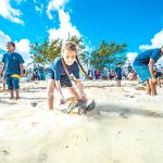 Push to save hawksbill turtle