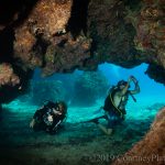 Life thrives beneath harbour