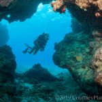 Scientists urge caution over coral relocation