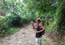 Walking the Gordon Town Trail in Jamaica