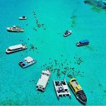 Inspire Cayman, tourism ministry offer scholarships for water-sports careers Stingray sandbar