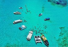 Water-sports businesses seek support as Omicron impacts recovery Stingray sandbar