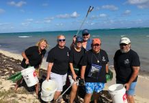 Pirates to plunder plastics