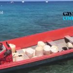 Mystery boat under investigation