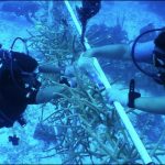 CCMI programme inspires students