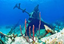 National Trust: Historic wrecks can’t simply be moved
