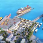 Cruise referendum appeal set to go ahead via video-link