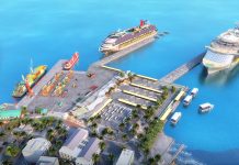 McLaughlin: Port project ‘almost certainly lost’