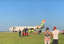 Faulty smoke detector blamed for September emergency landing