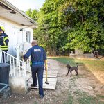 Government struggles to house DCFS and NAU clients