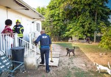Government struggles to house DCFS and NAU clients
