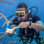 Dive students inspired at trade school