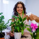 Plant exchange at Gardenia Court, Camana Bay