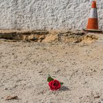 Tales of the quake: Sinkholes, jellyfish and diving