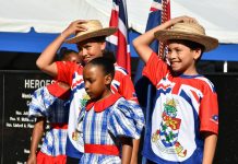 Arts and culture to be celebrated on National Heroes Day