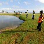 Airport hickatees, tarpon, mosquito fish relocated
