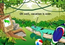 No vacation