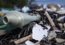 Plastic pollution entangles marine life