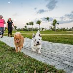On the run for Dog Jog