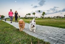 On the run for Dog Jog