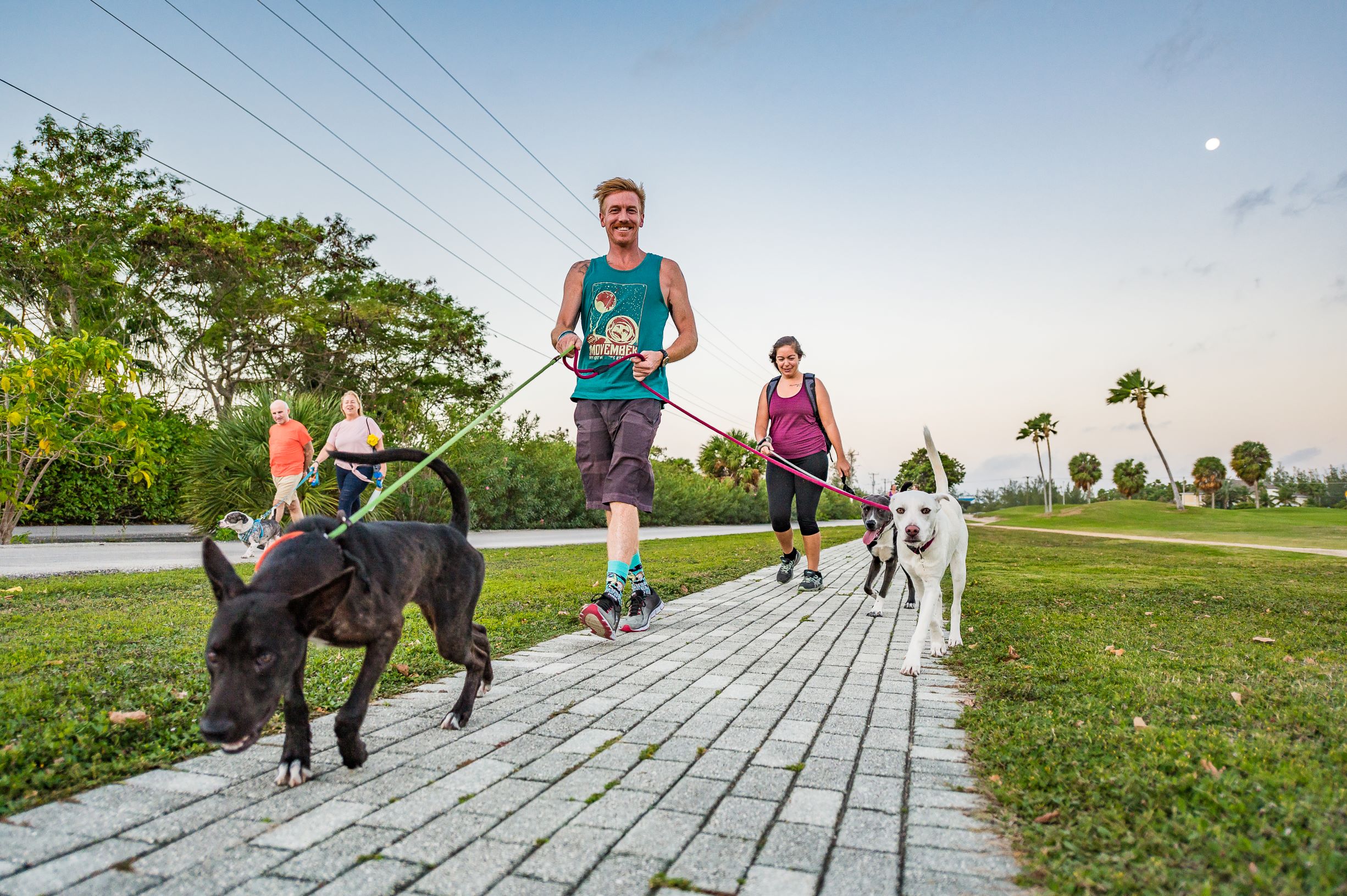 On the run for Dog Jog Cayman Compass
