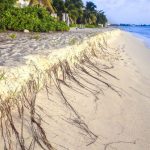 Two ‘king tides’ expected in early 2020