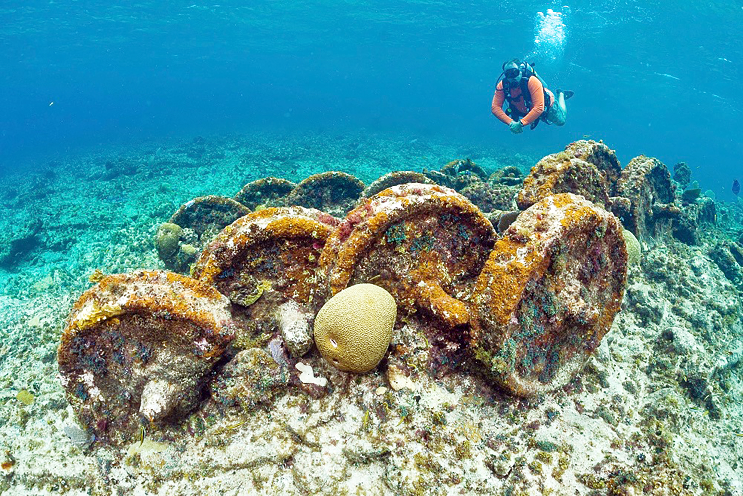 Modern wrecks serve growing dive industry - Cayman Compass, image size:2474x1650