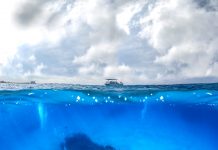 Wrecks of the Cayman Islands