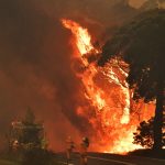 Local effort under way to assist Aussies fighting devastating wildfires