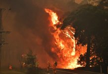 Local effort under way to assist Aussies fighting devastating wildfires