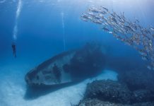 Tales from beneath the waves