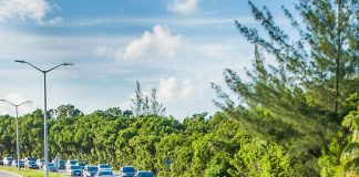My Cayman 2.0: ‘Sustainable vision for transport needed’