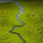 Five ideas for a green recovery